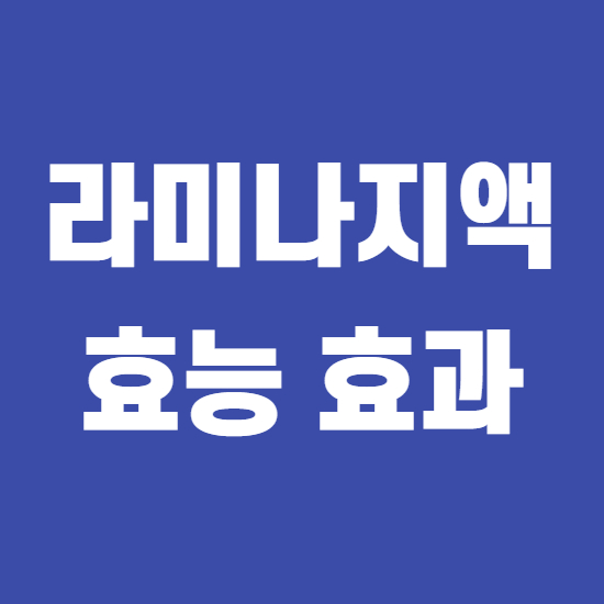  라미나지액 효능 효과 부작용