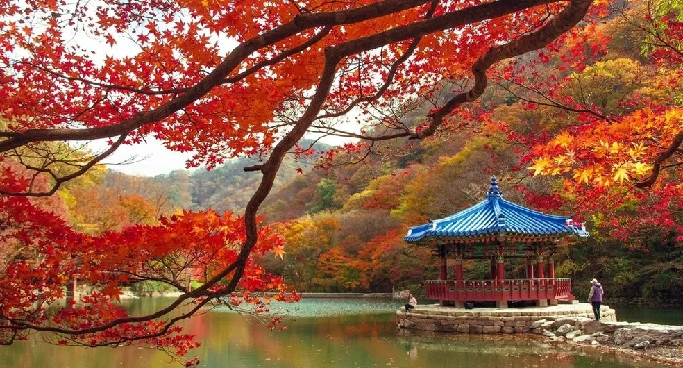 내장산