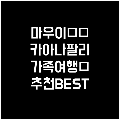 마우이 카아나팔리 해변 호텔 추천 B