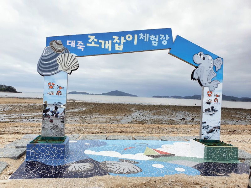 강화도-조개잡이체험
