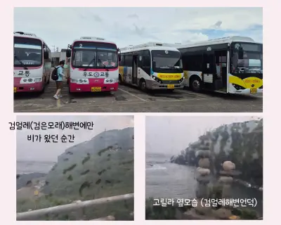 우도 해안도로 순환버스와 창밖의 검멀레 해변