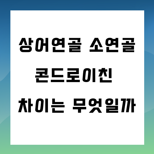 상어연골 소연골 콘드로이친 차이는 무엇일까 썸네일