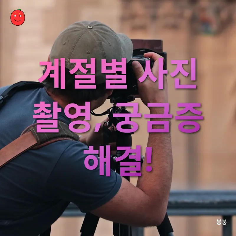 계절별 사진 촬영_4
