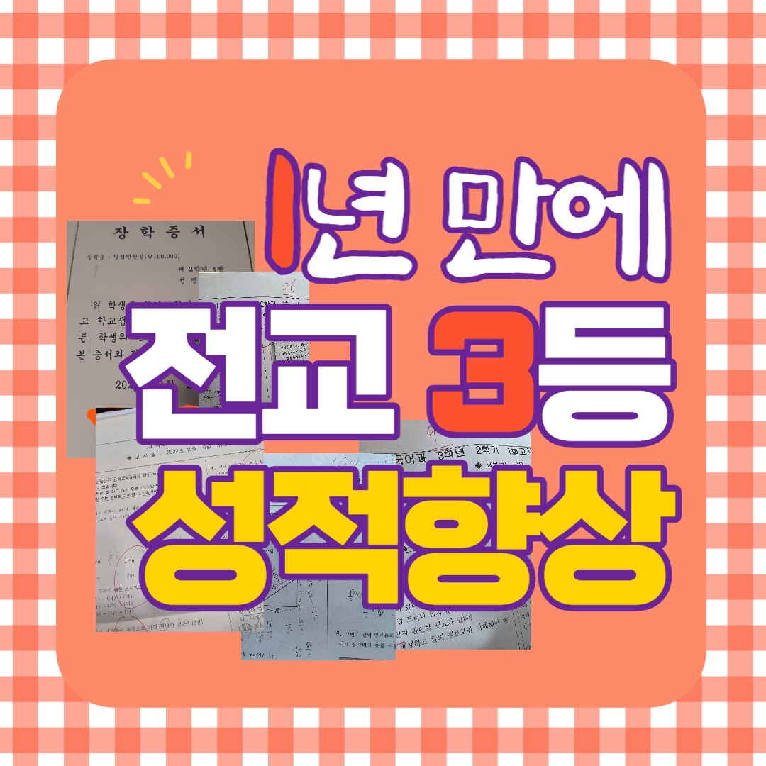  중등 대흥동 국어과외 공덕 과학과외 중학생 고등 노고산동 도화동 고등학생 한국사과외