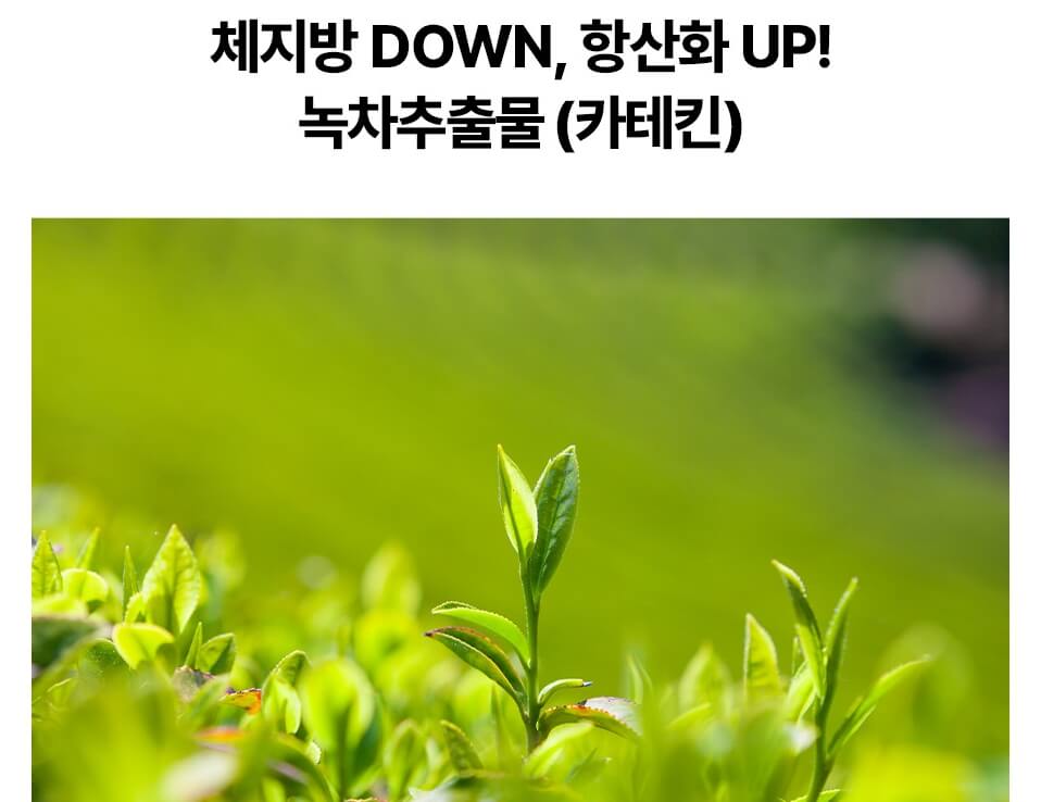 빨간통 다이어트