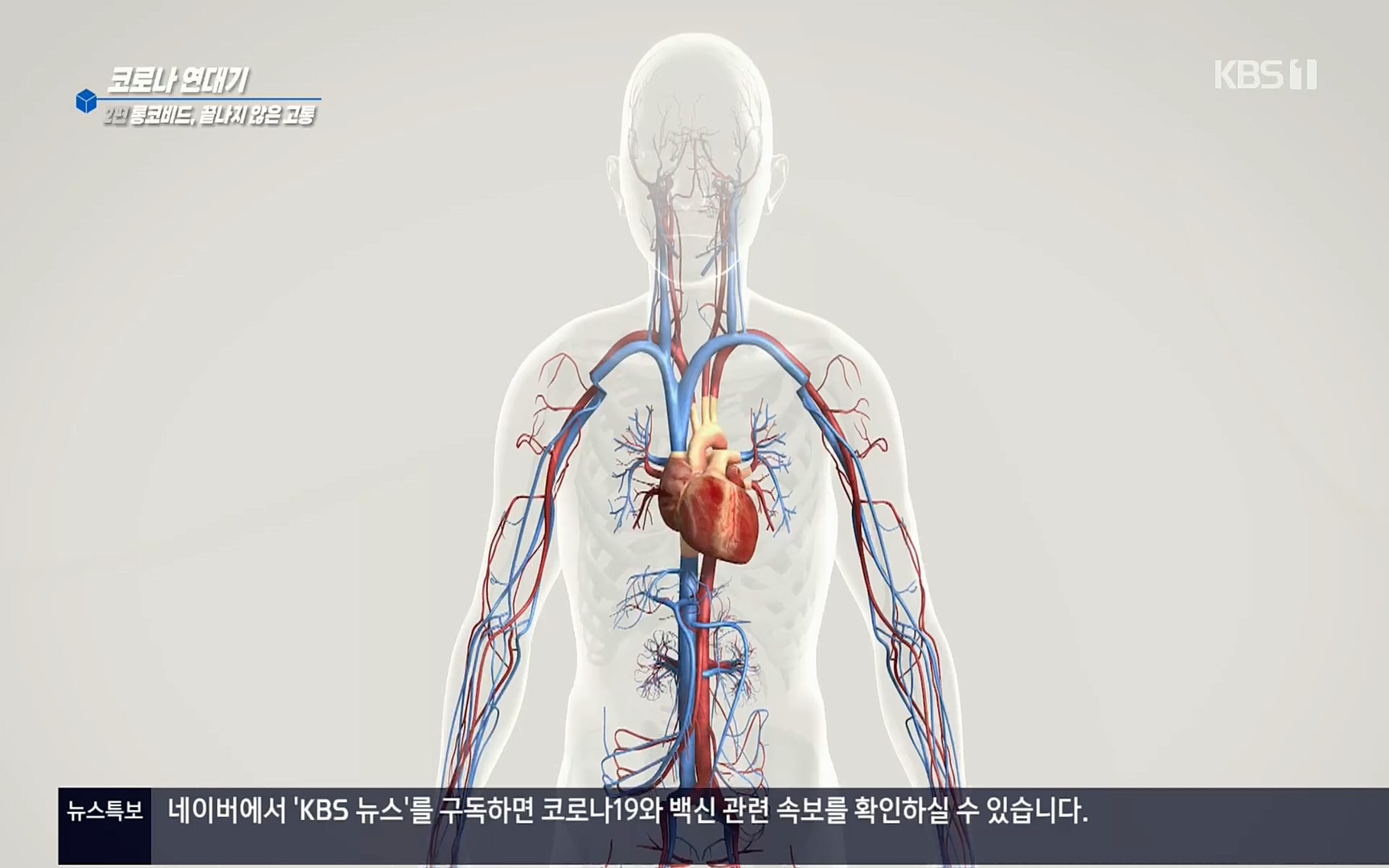 생로병사의 비밀.E827.220720p.H264-F1RST.mp4_20220721_203832.212.jpg