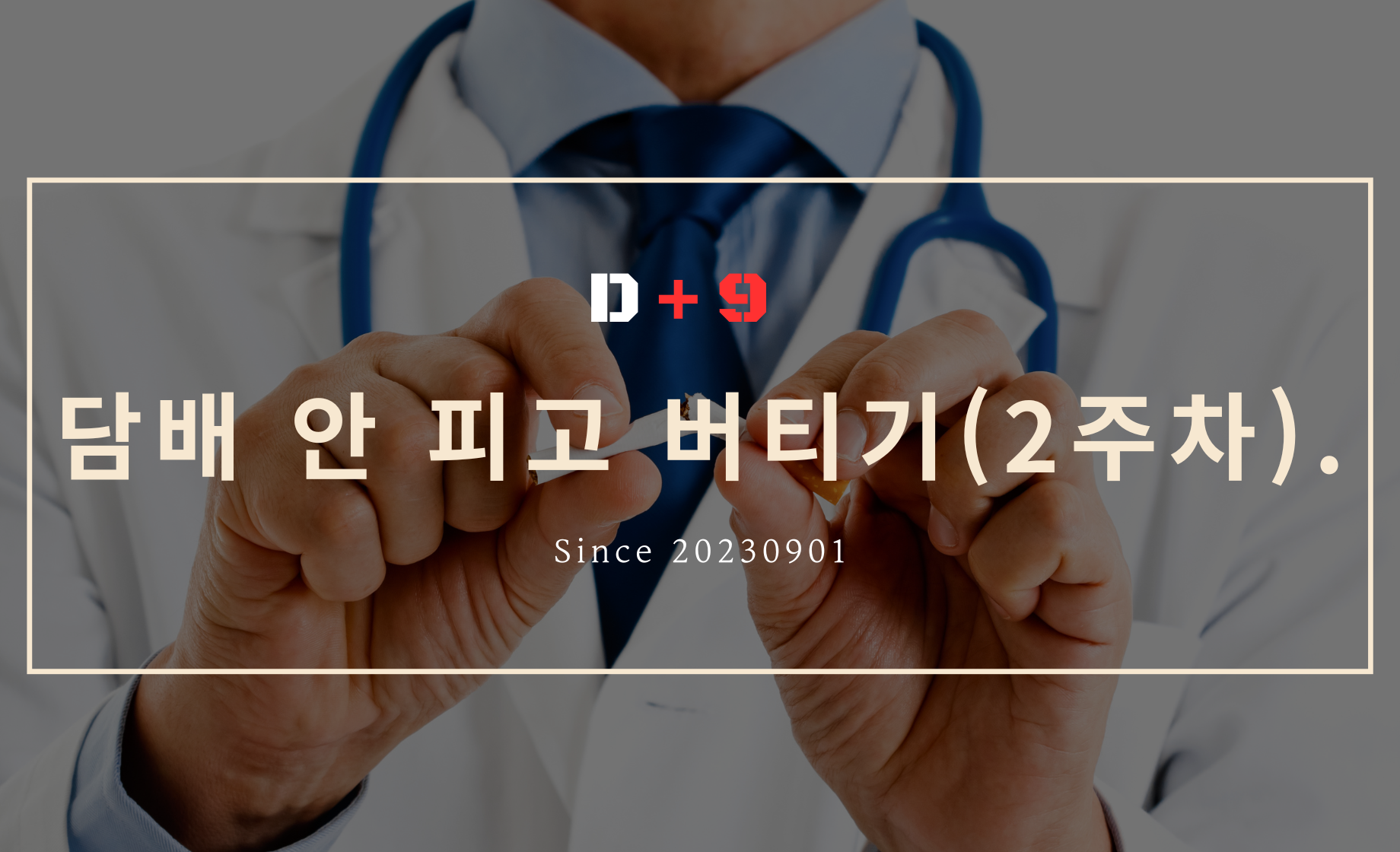 담배 안 피고 참기 2주차 / 금연은 아님!
