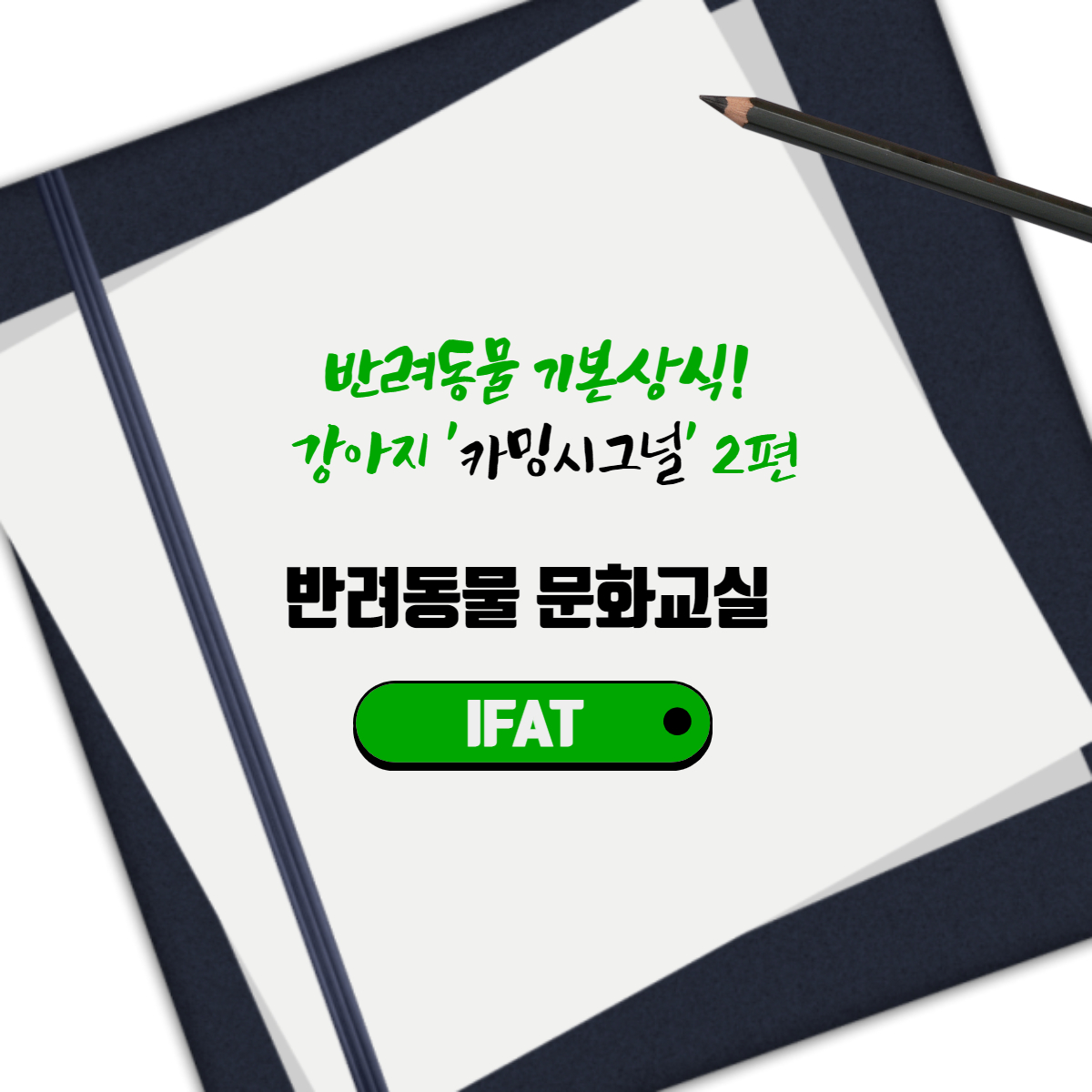  반려동물 기본상식! 강아지 '카밍시그널' 2편