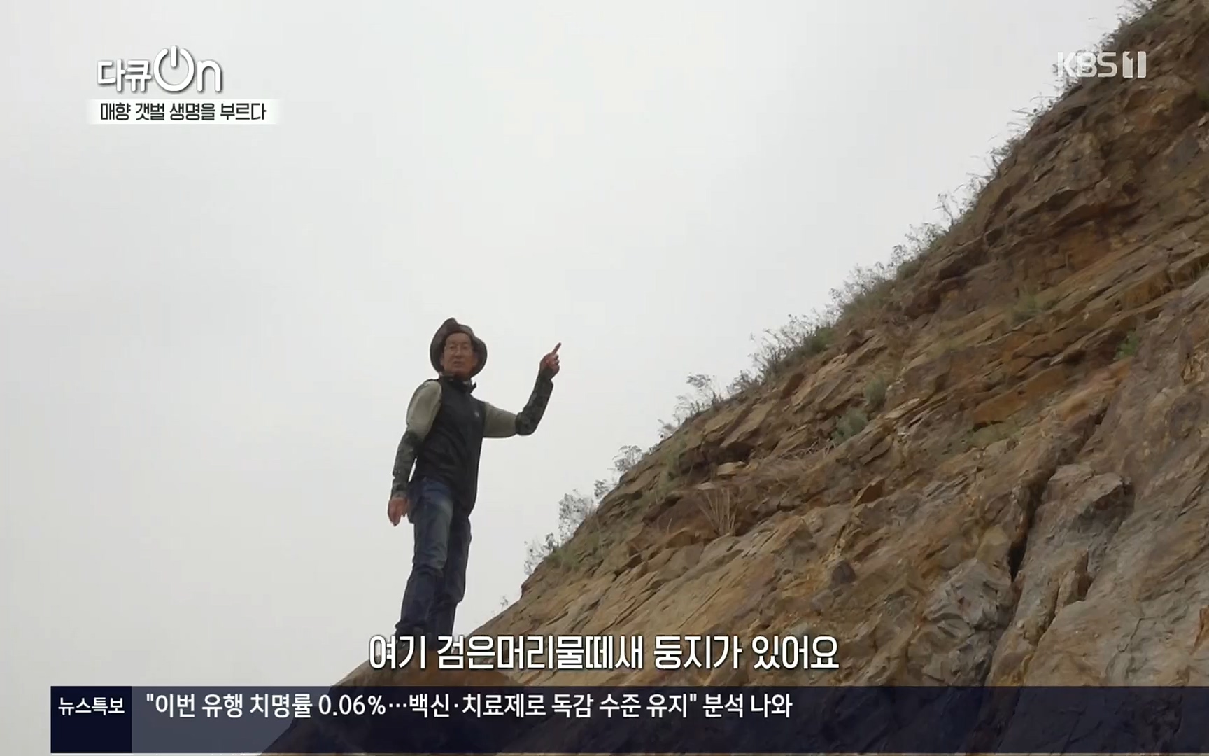 다큐 On.E151.220805p.H264-F1RST.mp4_20220806_193403.230.jpg