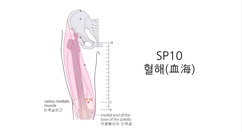 혈해혈 위치 이미지