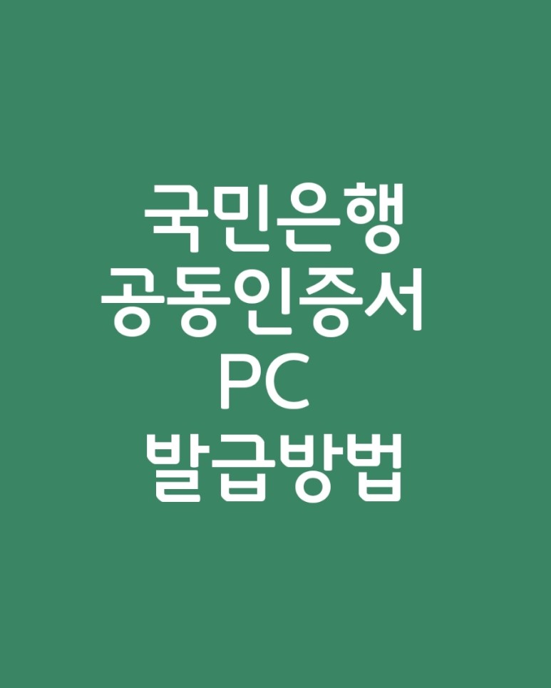 국민카드 공동인증서 국민은행 공동인증서, 공인인증서 11