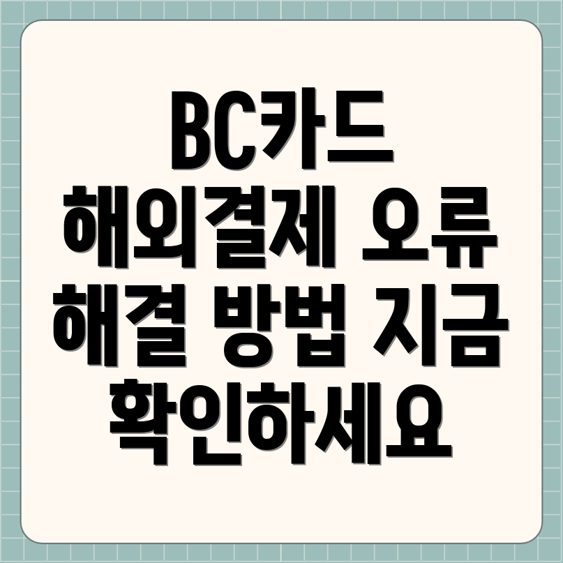 BC카드 해외결제 오류