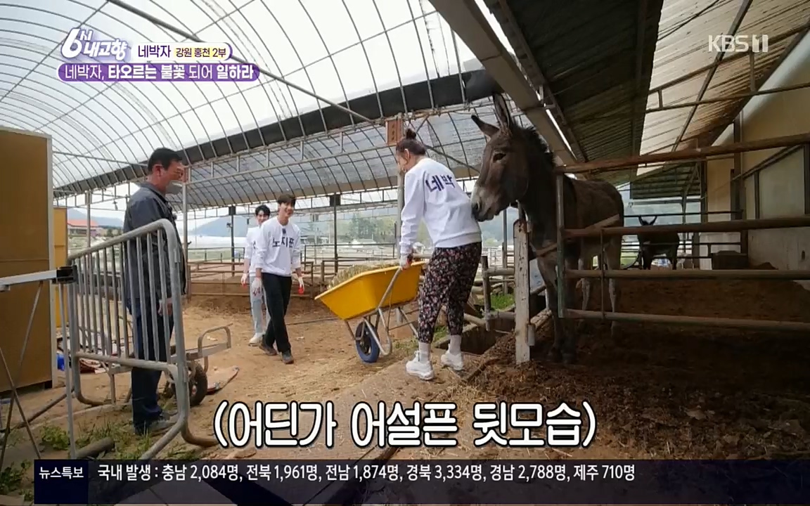 6시 내고향.E7530.220512p.H264-F1RST.mp4_20220516_191224.134.jpg