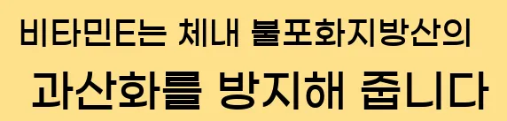  비타민E는 체내 불포화지방산의 과산화를 방지해 줍니다