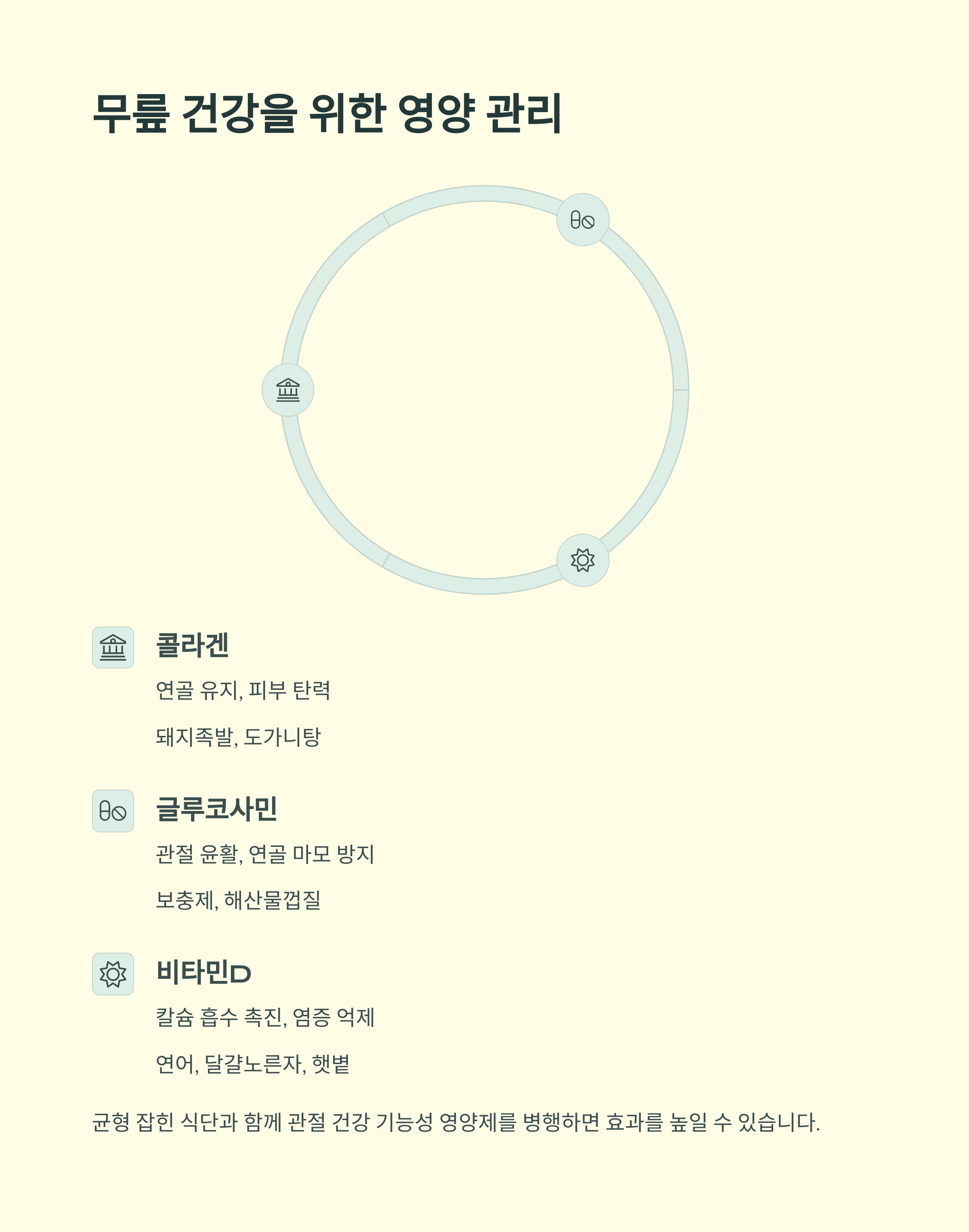 무릎 통증, 방치하면 더 큰 병 부른다! 중년 관절 건강 지키는 핵심 방법