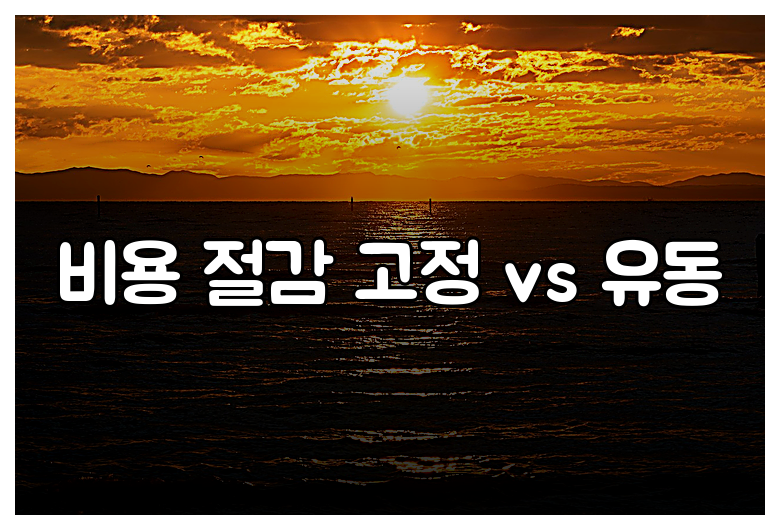 비용 절감 고정 vs 유동