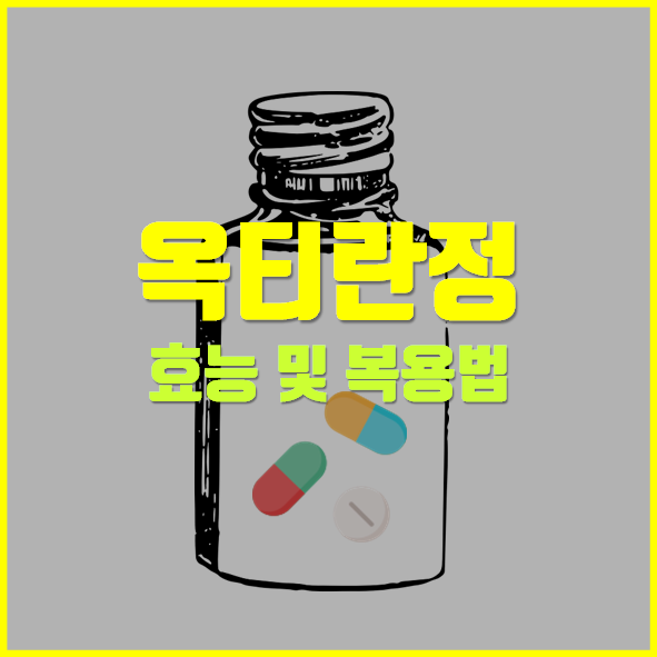  옥티란정 40mg 의약품 정보
