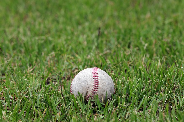 야구공이-잔디밭에-놓여있는-모습