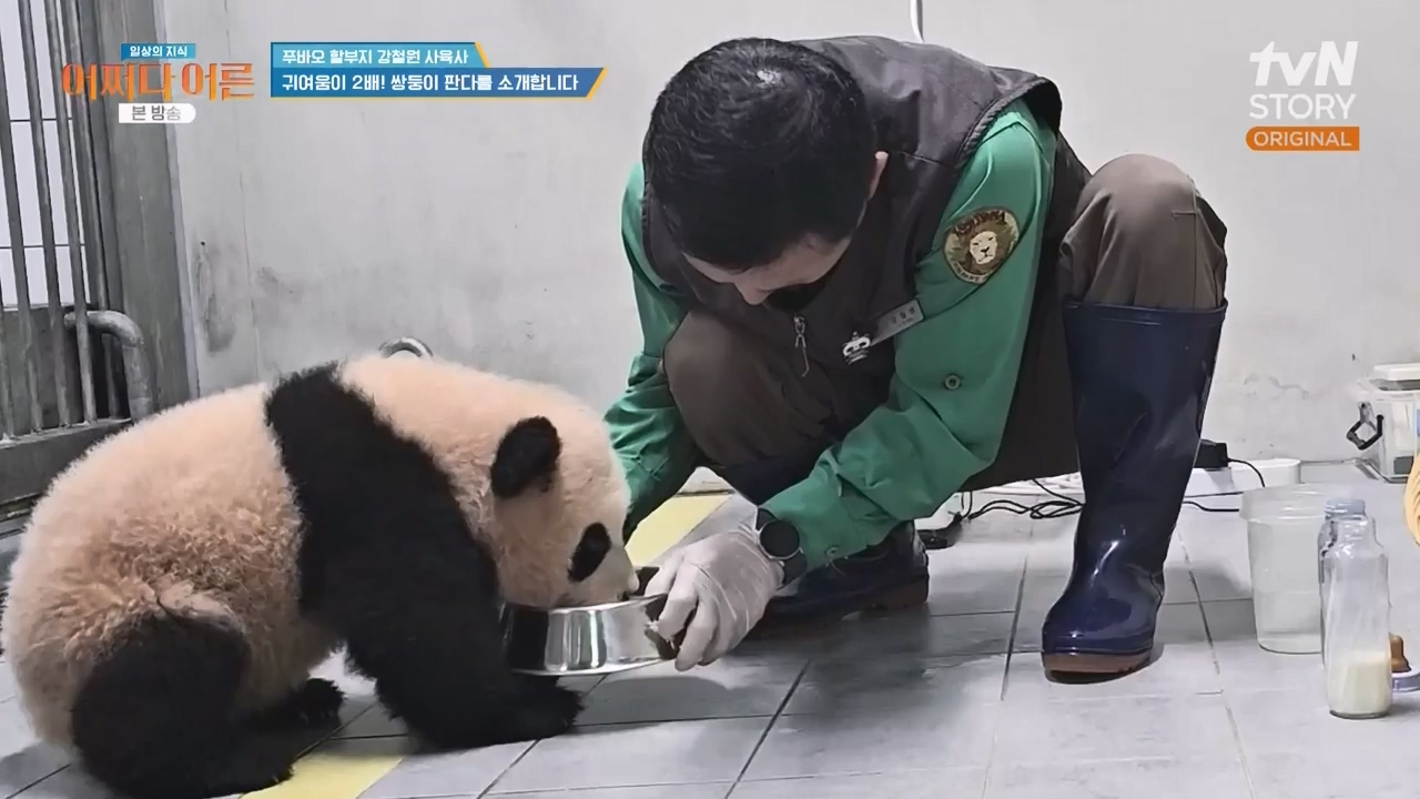 어쩌다 어른.E41.240131p-NEXT.mp4_20240201_203143.705.jpg