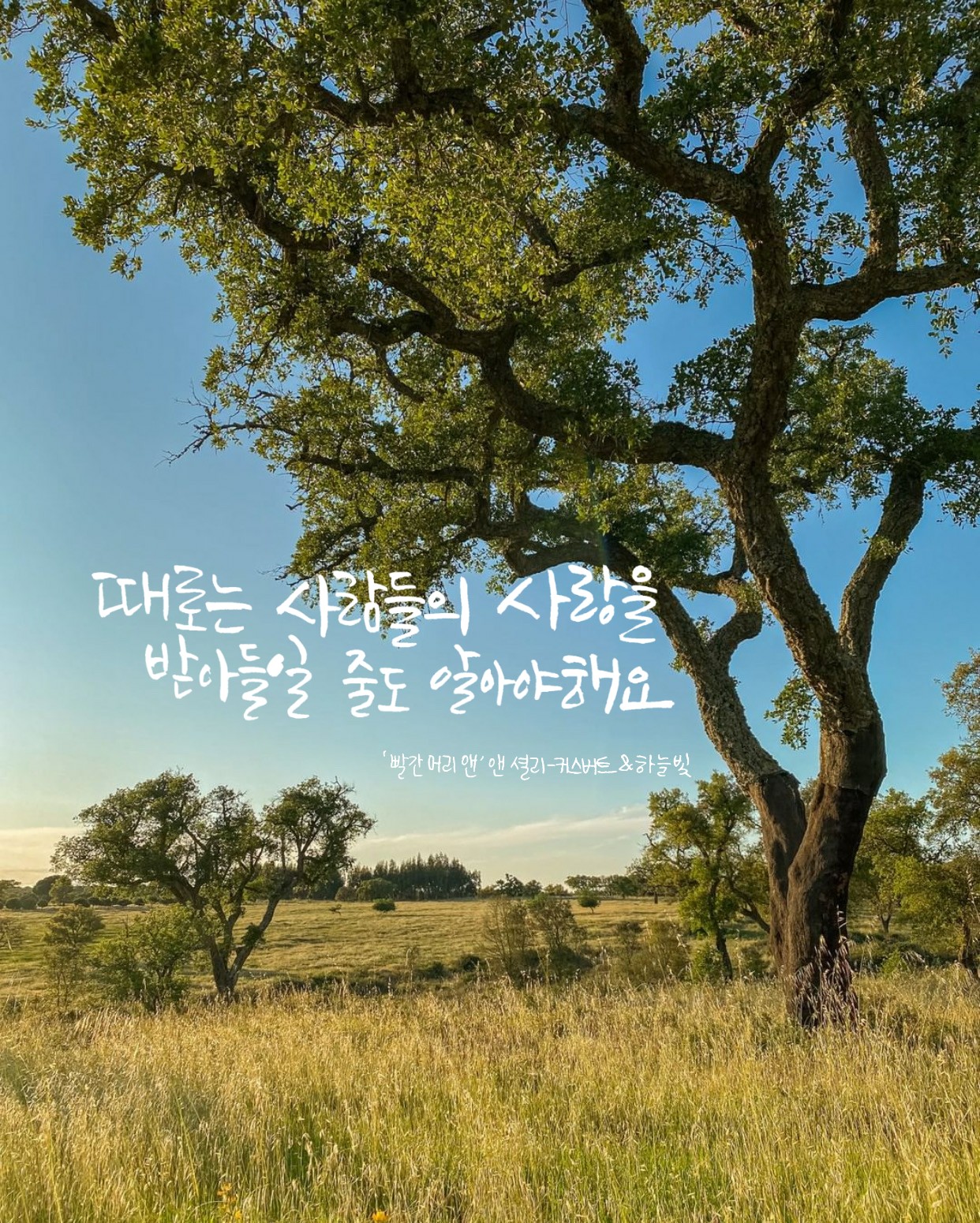  넷플릭스 영화[빨간머리앤] 의 대사 적어보았어요(시즌1)