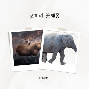 코끼리 꿈해몽