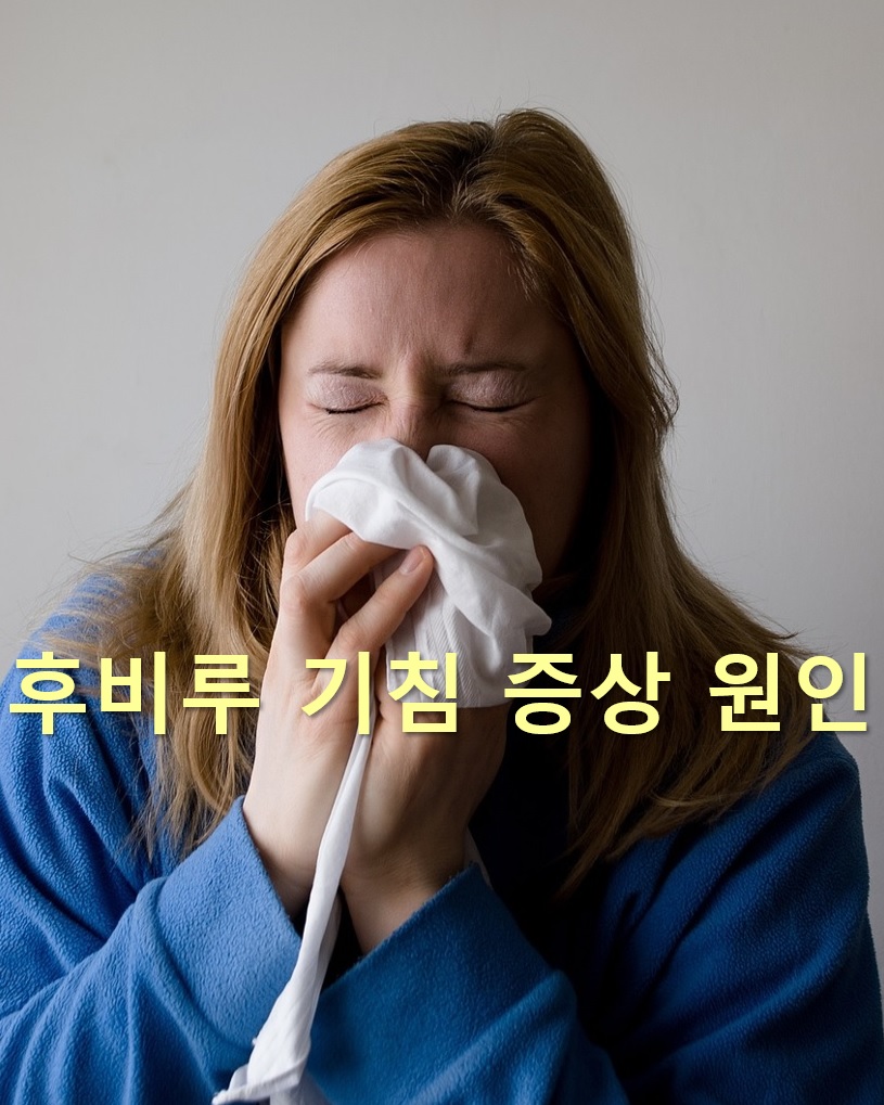  후비루 기침 증상과 후비루 가래 증상의 원인