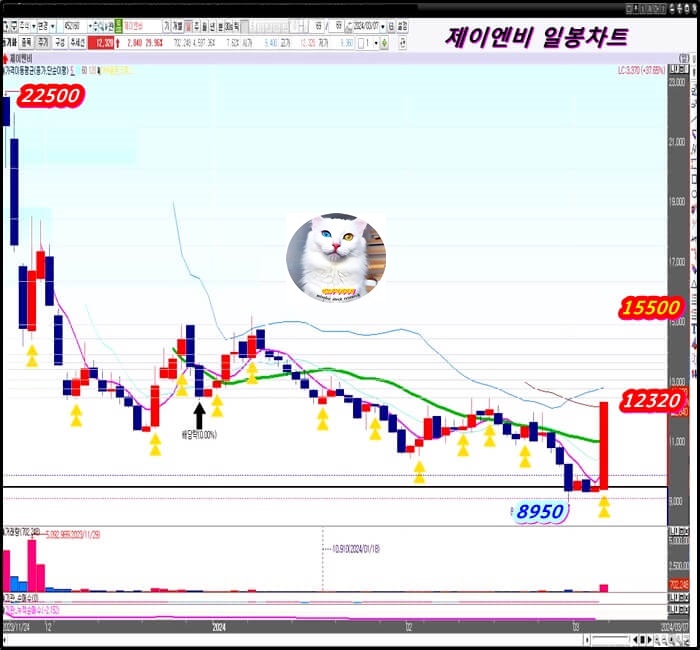 일-봉-차트