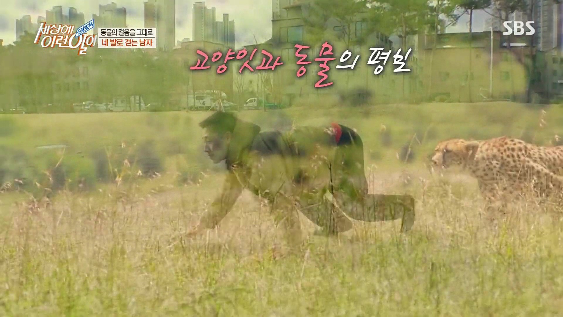 순간포착 세상에 이런일이.E1213.230110p.H264-F1RST.mp4_20230111_194921.697.jpg