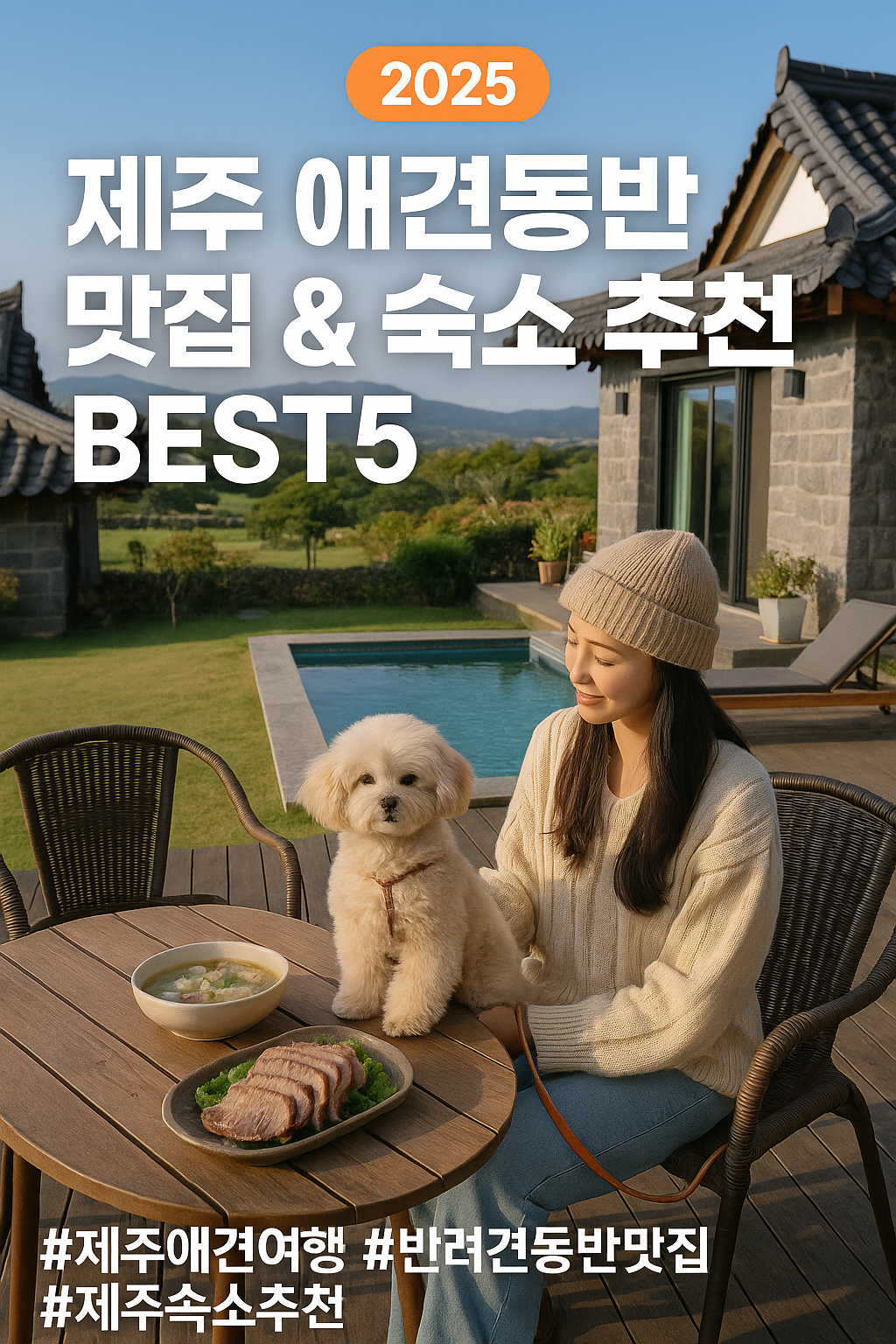 제주 애견동반 맛집 &amp; 숙소 추천 BEST5 (2025년 기준)