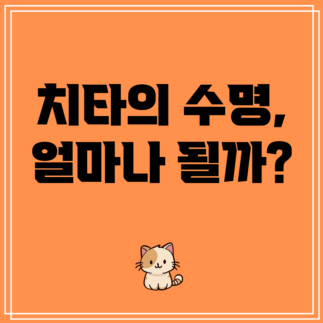 치타의수명,얼마나될까