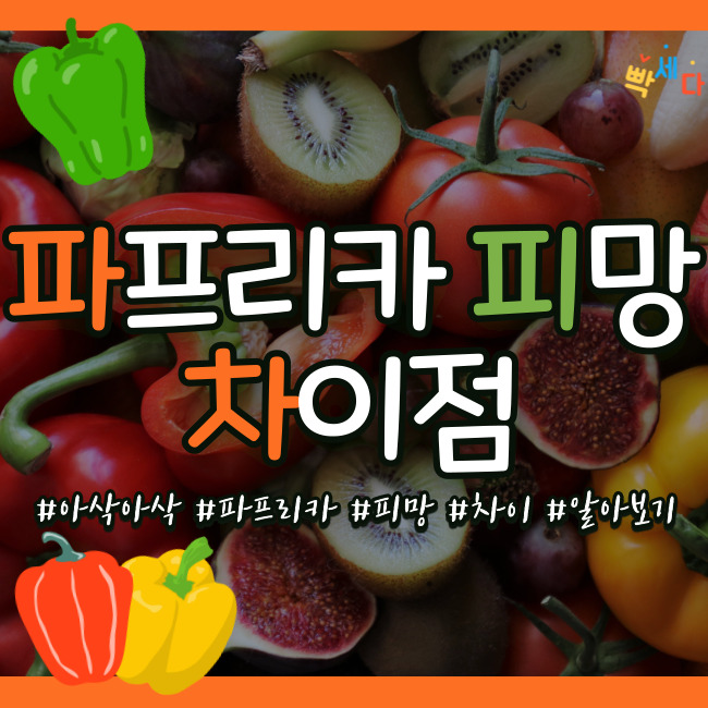  파프리카? 피망? 비슷하게 생겼지만 차이점이 있다!! 파프리카와 피망 차이점 알아보기