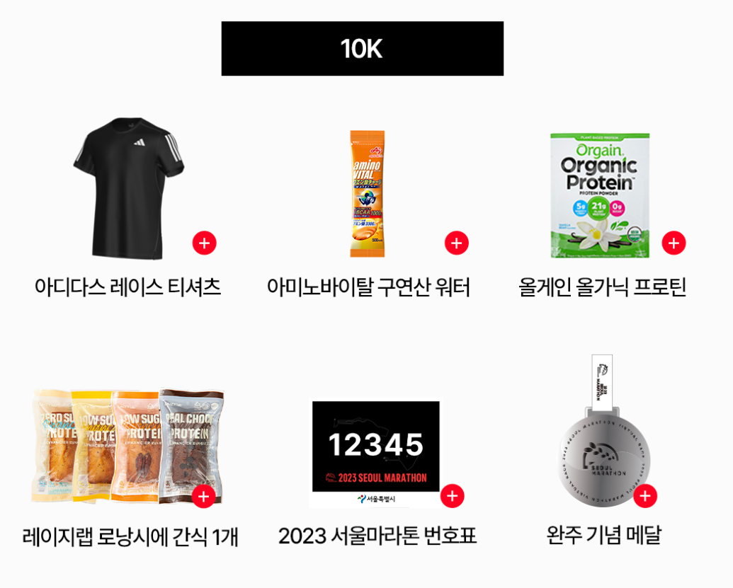 2023 서울 마라톤 10K 레이스팩