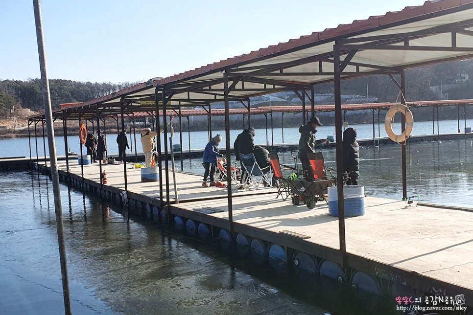 손맛느끼고 왔어요 강화도빙어축제 17