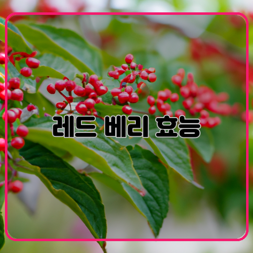 레드-베리-(Red-Berry)-놀라운-(Surprising)-효능들-(Benefits)