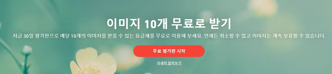  Shutter Stock 셔터스톡 할인코드 25% 음악 로얄티 히든 쿠폰