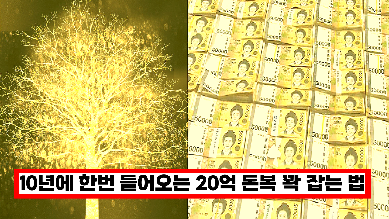  '효과 대박이네... ㅎㄷㄷ' 10년에 한번 들어오는 20억 돈복 놓치지 않는 방법