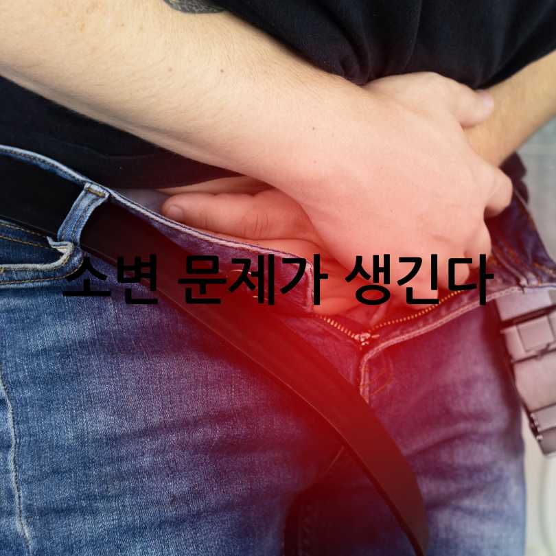 전립선암 초기증상