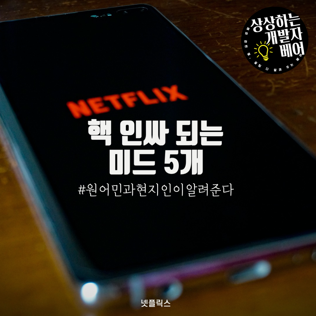  [넷플릭스] 현지인이 알려주는 영어 쉐도잉, 핵 인싸되는 미드 5개