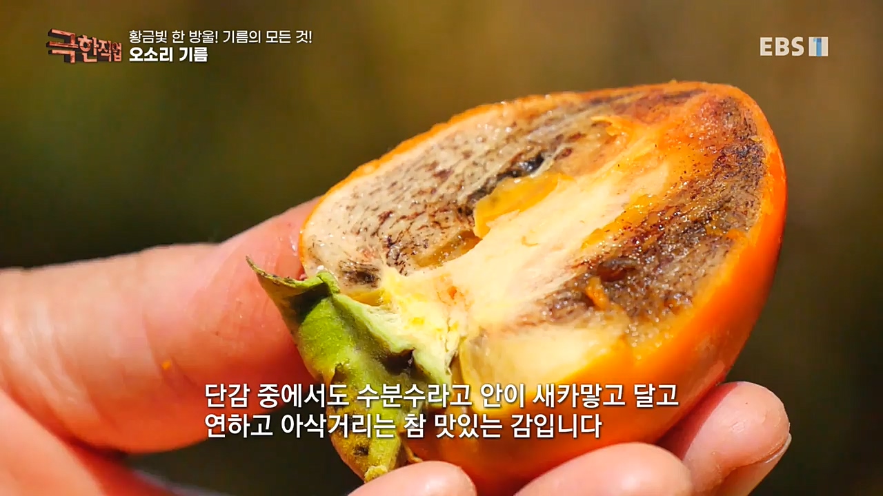 TV - 교육의 중심 EBS황금빛 한 방울! 기름의 모든 것!.mp4_20221031_191543.569.jpg