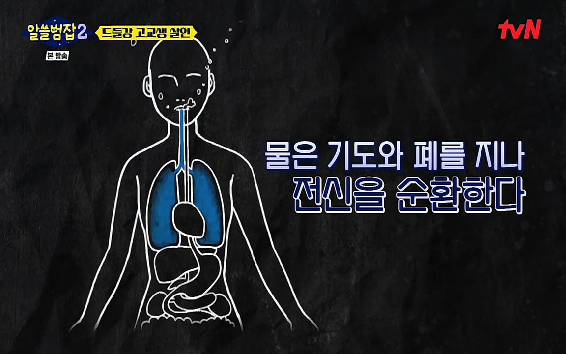알쓸범잡 2.E15.220425p-NEXT.mp4_20220425_185545.784.jpg
