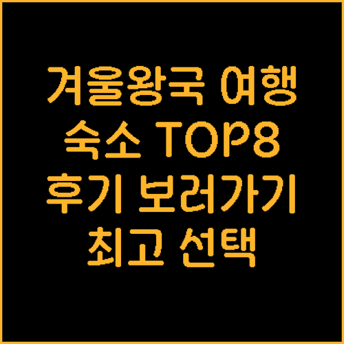 윈터파크 여행 숙소 고민 끝 최고의 