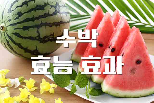  수박, 달콤한 수분이 주는 영양 효능