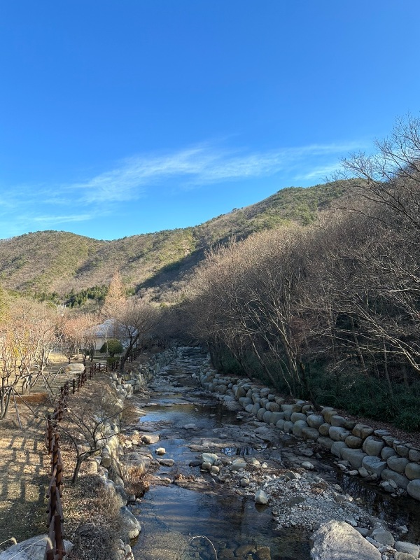 울산 수목원