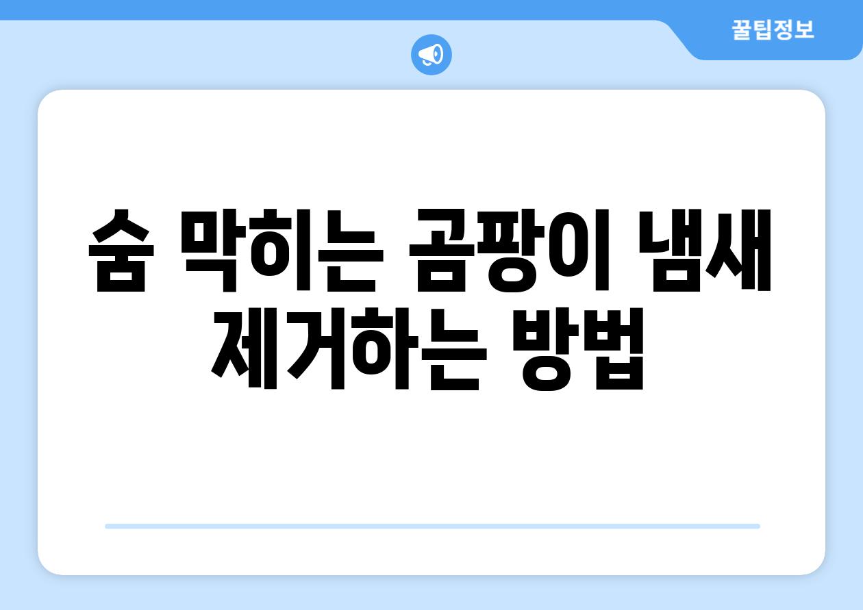 숨 막히는 곰팡이 냄새 제거하는 방법