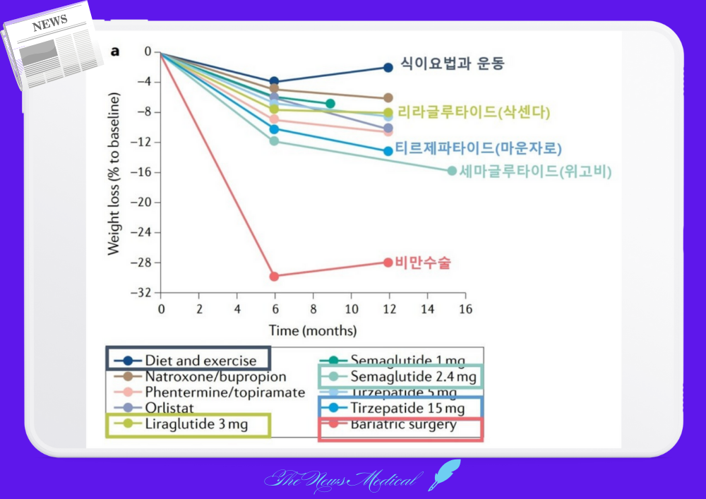 다이어트 효과 통계