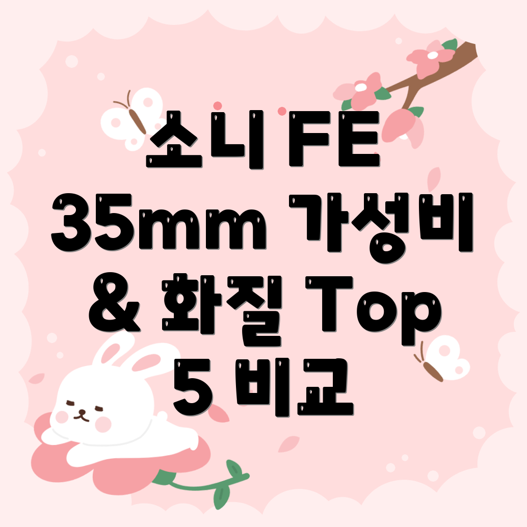 소니FE35mm렌즈가성비와화질모두잡는선택가이드Top5비교분석