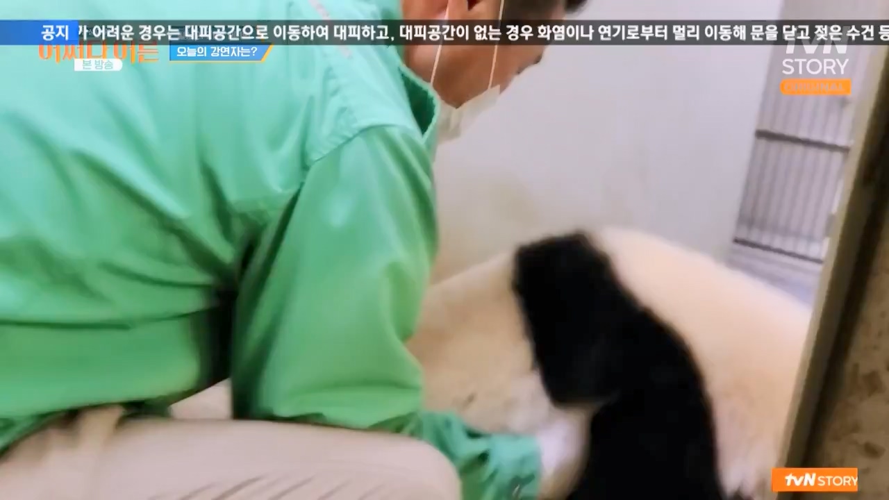 어쩌다 어른.E41.240131p-NEXT.mp4_20240201_203129.409.jpg