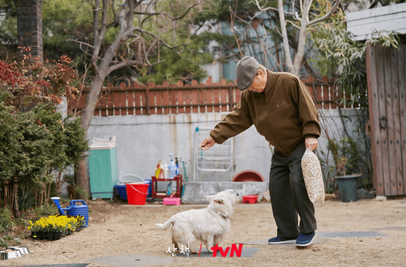tvN 산책 순둥이와 이순재 스틸컷