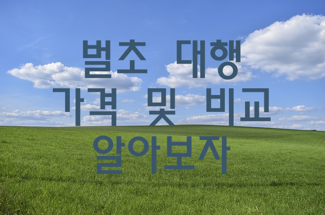 벌초 대행 가격 및 비교