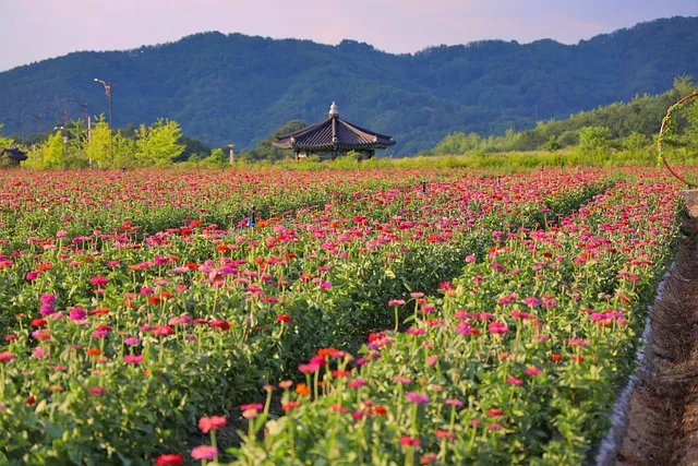 안동 시외버스터미널 시간표 예매 예약_8